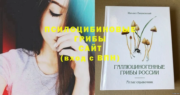 прущий лед Верхний Тагил