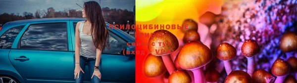 альфа пвп Бородино