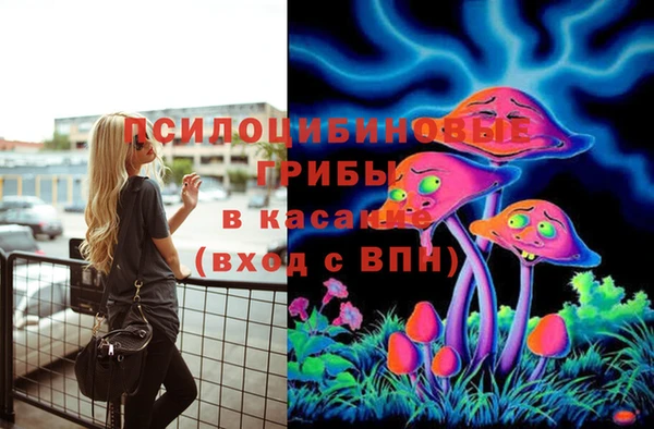 прущий лед Бронницы